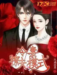 《冷妻撩夫模式》小说封面