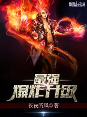 《最强爆炸升级》小说封面