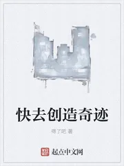 《快去创造奇迹》小说封面