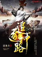 《追逐神路》小说封面