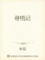 《寻梧记》小说封面
