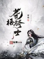 《苍梧骑士》小说封面