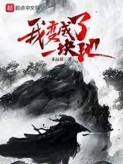 《我变成了一块地》小说封面