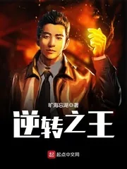 《逆转之王》小说封面