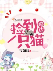 《路边捡到一只猫》小说封面