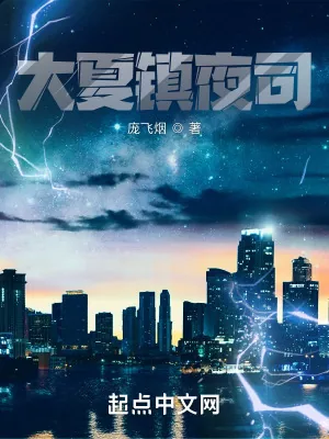 《大夏镇夜司》小说封面