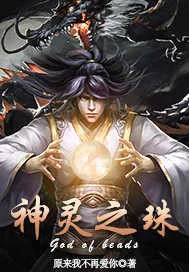 《神灵之珠》小说封面