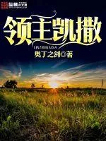 《领主凯撒》小说封面