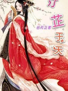《汀芷于天》小说封面