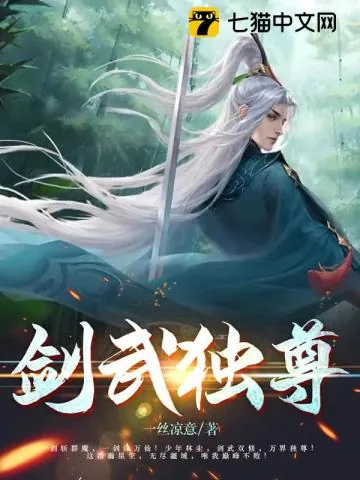《剑武独尊》小说封面