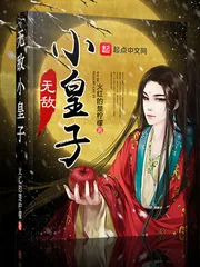 《无敌小皇子》小说封面