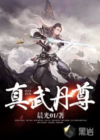 《真武丹尊》小说封面