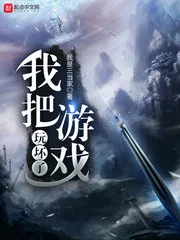 《我把游戏玩坏了》小说封面