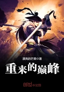 《重来的巅峰》小说封面