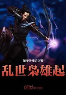 《乱世枭雄起》小说封面