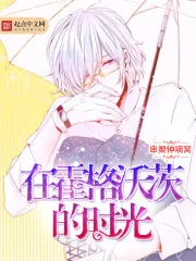 《在霍格沃茨的时光》小说封面
