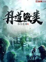 《丹道败类》小说封面