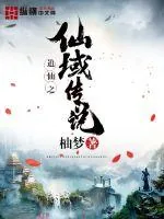 《追仙之仙域传说》小说封面