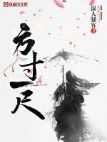 《方寸一尺》小说封面