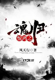 《惊鸿之魂归》小说封面