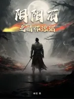 《阴阳石之暗怀琼琚》小说封面