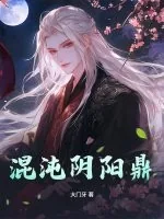 《混沌阴阳鼎》小说封面
