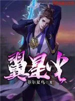 《翼星尘》小说封面