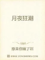 《月夜狂潮》小说封面