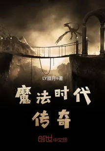 《魔法时代传奇》小说封面