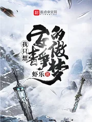 《我只想安静的做梦》小说封面
