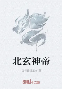 《北玄神帝》小说封面