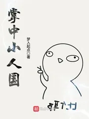 《掌中小人国》小说封面