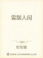 《雪踏人间》小说封面