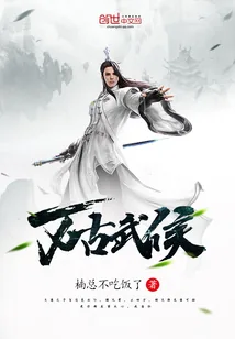 《万古武侯》小说封面
