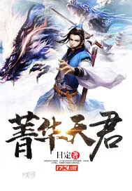 《菁华天君》小说封面