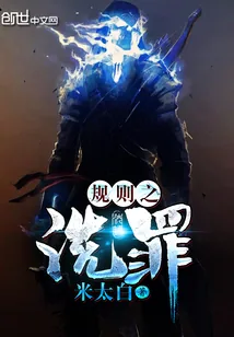 《规则之洗罪》小说封面