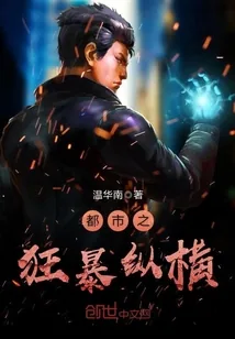 《都市之狂暴纵横》小说封面