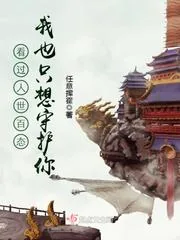 《看过人世百态我也只想守护你》小说封面
