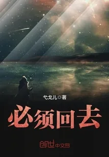 《必须回去》小说封面