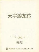 《天宇游龙传》小说封面