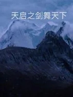 《剑舞风尘起》小说封面