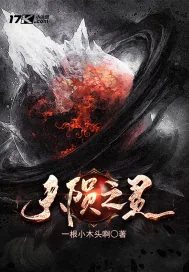 《天陨之灵》小说封面