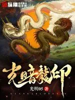 《光暗龙印》小说封面