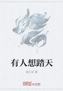 《有人想踏天》小说封面