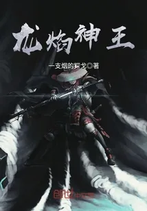 《龙焰神王》小说封面