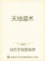 《天地道术》小说封面