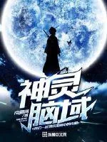 《神灵脑域》小说封面
