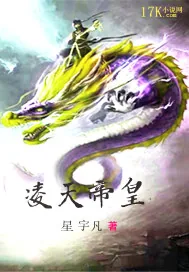 《凌天帝皇》小说封面