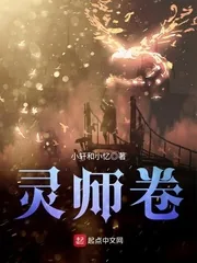 《灵师卷》小说封面