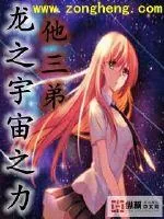 《龙之宇宙之力》小说封面
